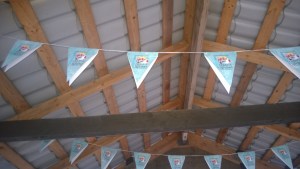 WP_20140630_19_34_31_Pro